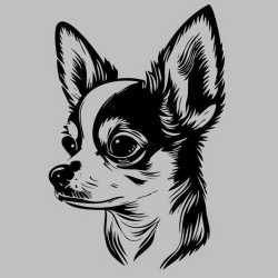 Miroir gravé au laser - Chihuahua