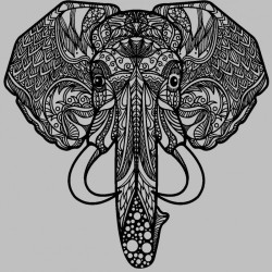 Miroir gravé au laser - Elephant