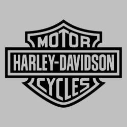 Miroir gravé au laser - Logo Harley Davidson